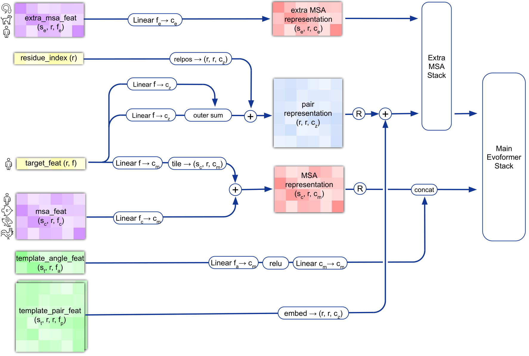 model input