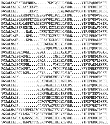 MSA example